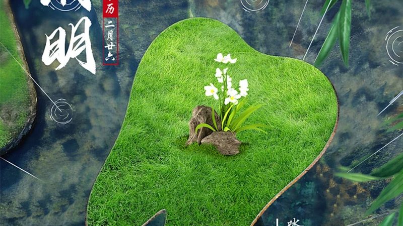 定制美白牙托，了解这些才能更高效